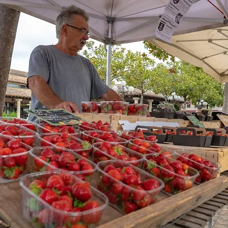 La Maison Duffour D'hôtes Avec Petit Déjeuner