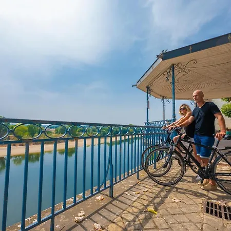 La Maison Duffour D'hôtes Avec Petit Déjeuner Bed and breakfast Tonneins