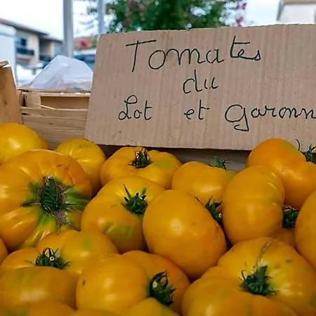La Maison Duffour D'hotes Avec Petit Dejeuner Nocleg ze śniadaniem 3*