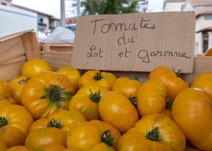 فندق مبيت وإفطار La Maison Duffour D'hotes Avec Petit Dejeuner