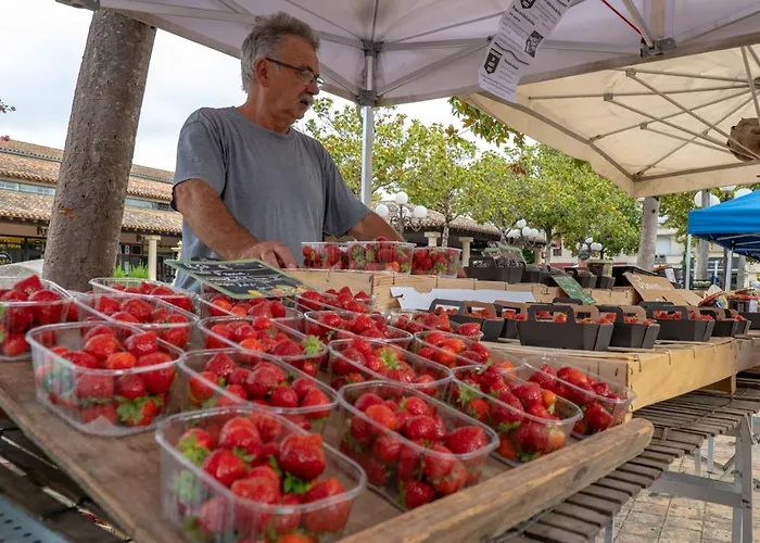 La Maison Duffour D'hotes Avec Petit Dejeuner