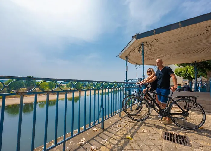 La Maison Duffour D'hotes Avec Petit Dejeuner فندق مبيت وإفطار Tonneins