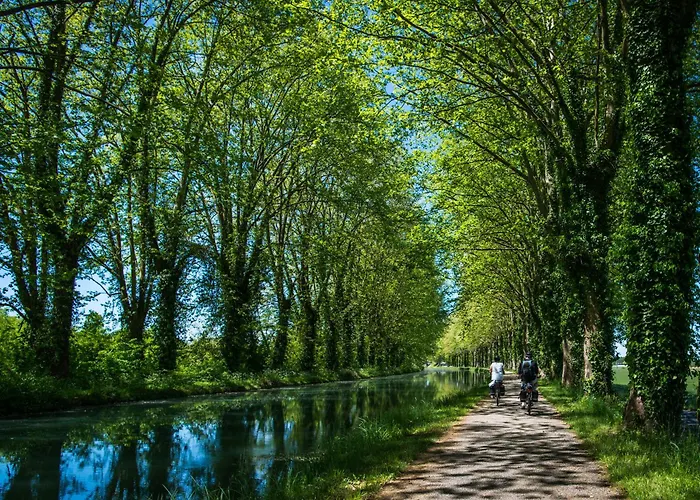 فندق مبيت وإفطار La Maison Duffour D'hotes Avec Petit Dejeuner Tonneins